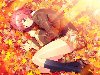 , , art, , autumn, anime, aki
