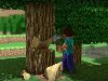 Full HD Video Games Trees Wood Steve Pixels Minecraft Hd Wallpaper, ...
