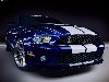 Ford Mustang Shelby GT500 .  : 16001200px