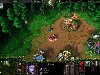 Warcraft III: Reign of Chaos -    