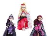  Ever After High (  )