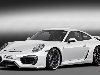   Porsche 911  Caractere Exclusive