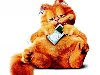  2:    (Garfield: A Tail of Two Kitties)